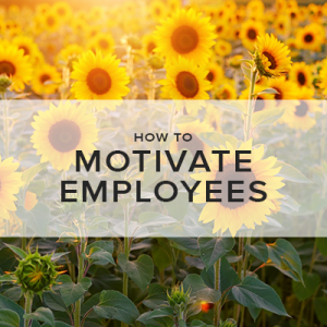 How to Motivate Employees