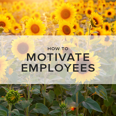 Motivate Employees through HRM Systems